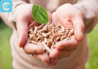 Apa yang dimaksud dengan biomassa sebutkan dua contoh bahan dasar biomassa